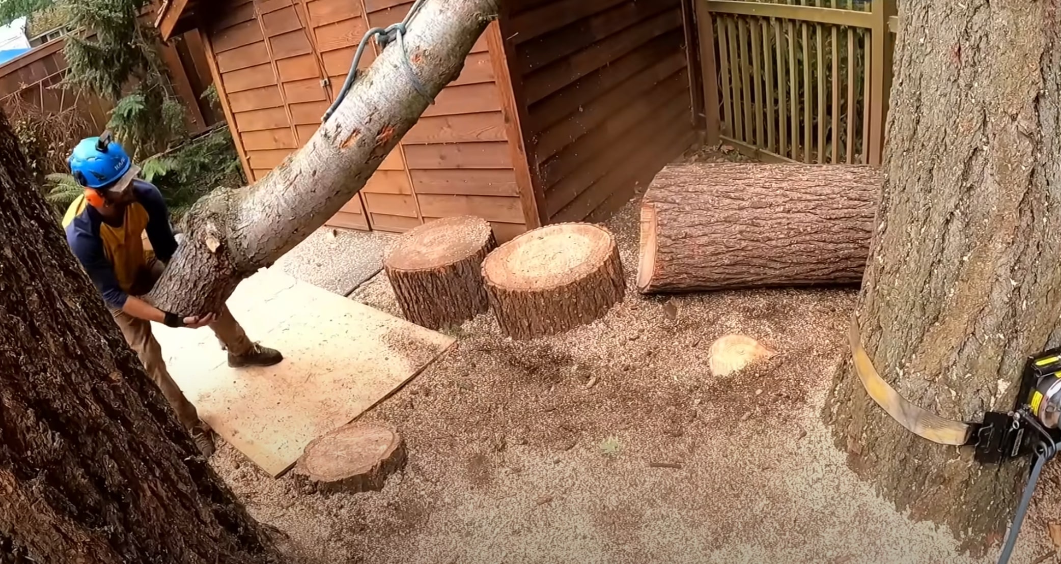 Cabling, Bracing & Structural Support service in Mankato, MN