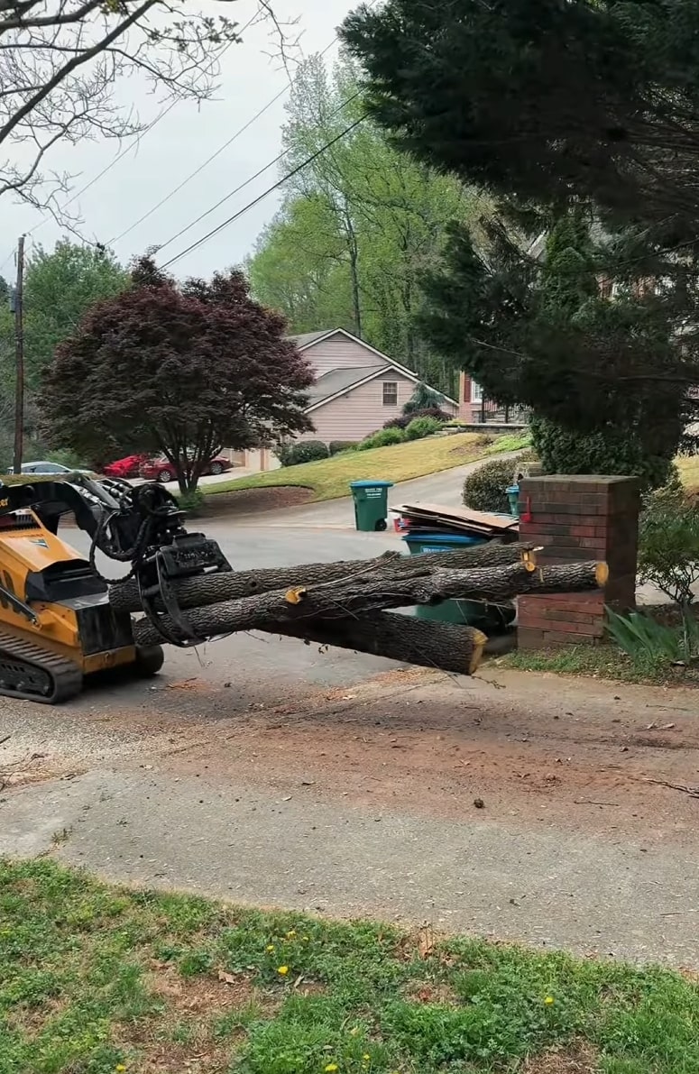 Emergency tree removal equipment handling large tree in Mankato, MN